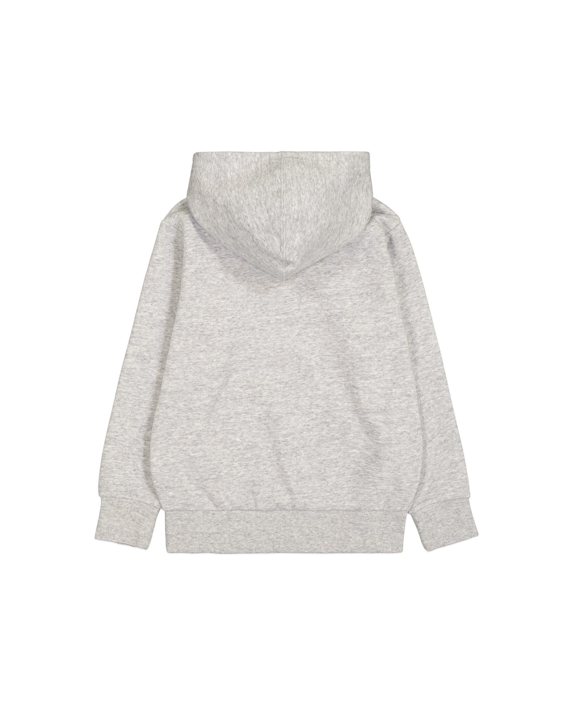 Champion Hoodie HOODED sweatshirt