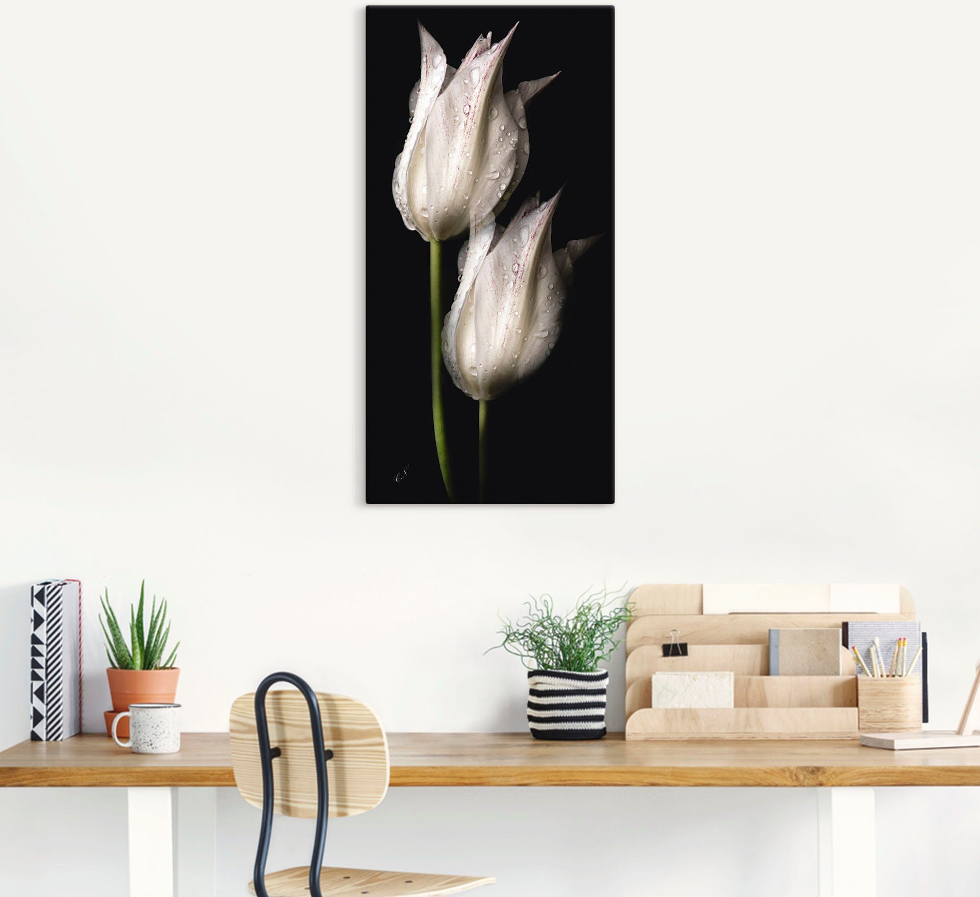 Artland Artprint Witte tulpen in de nacht als artprint van aluminium, artprint voor buiten, artprint op linnen, poster, muursticker