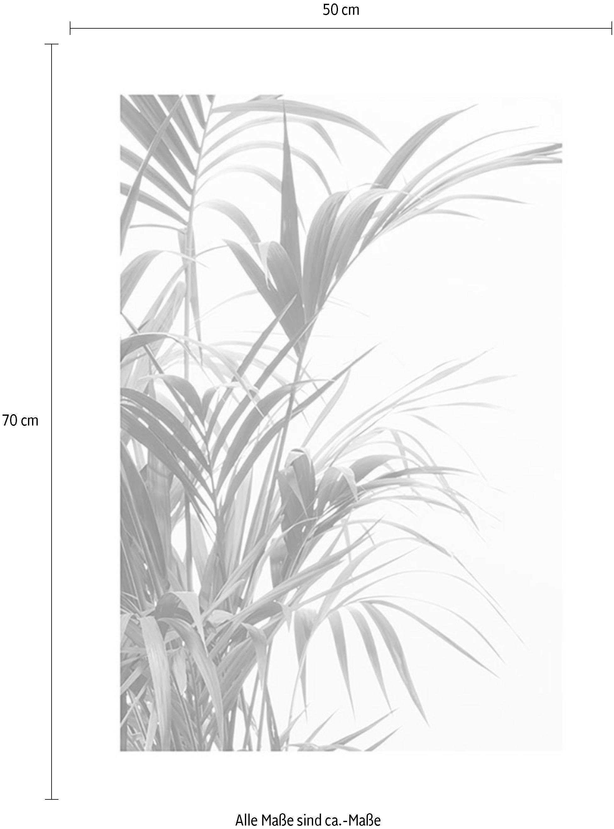 Komar Wanddecoratie Reed Leaves Wanddecoratie - zonder lijst (1 stuk)