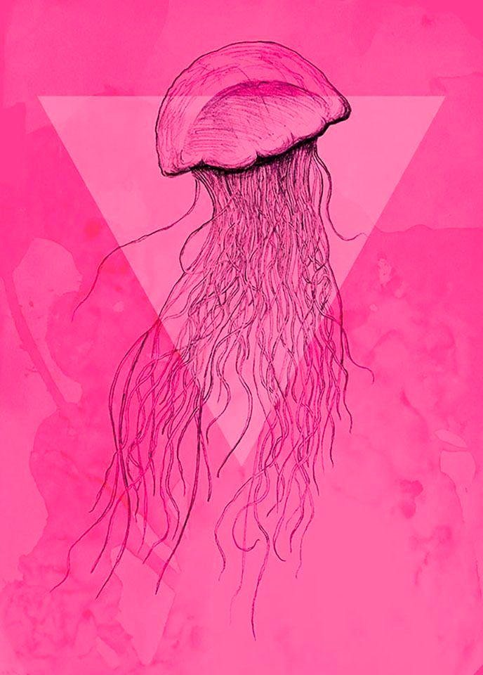 Komar Poster Jellyfish pink Hoogte: 70 cm