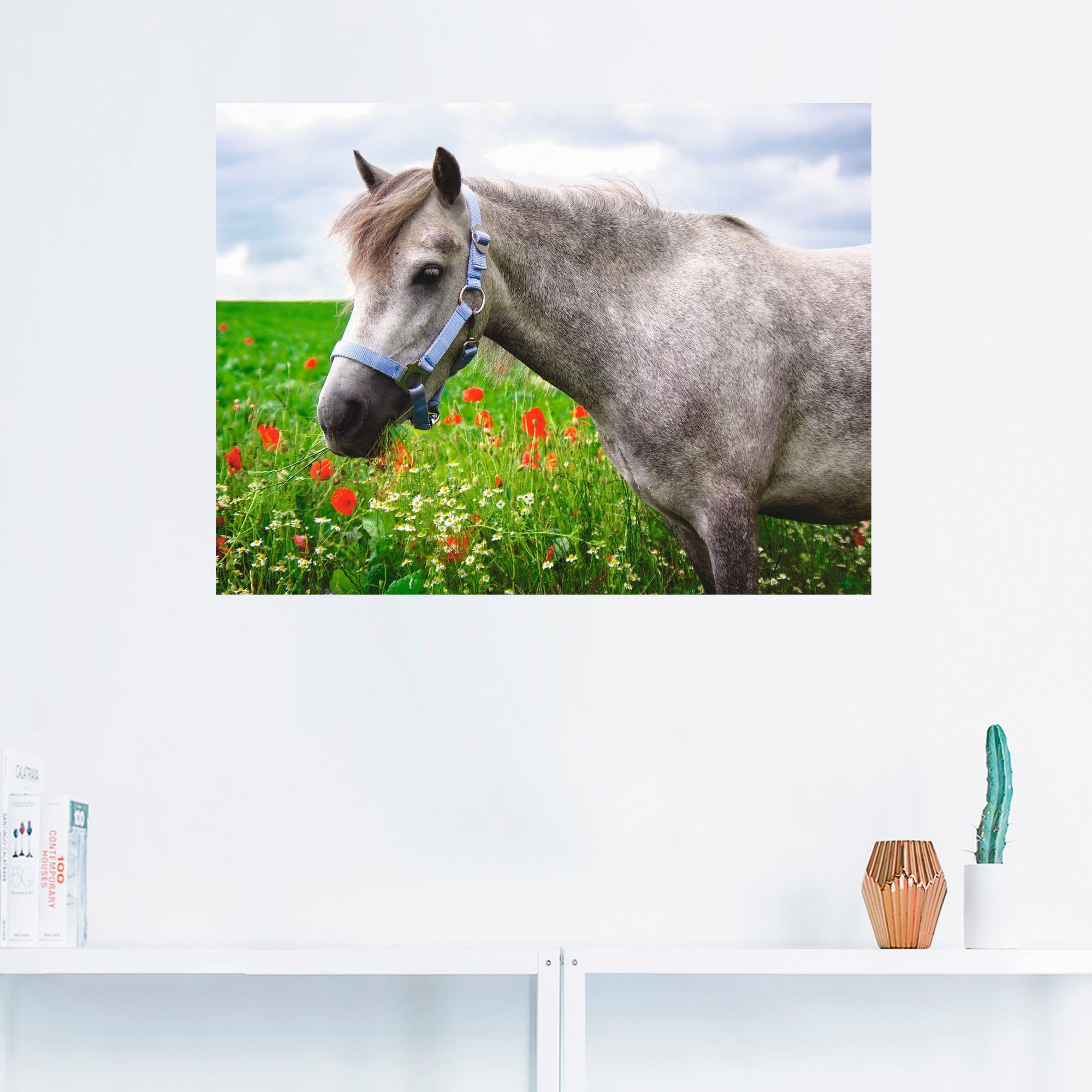 Artland Artprint Welshpony als artprint op linnen, muursticker in verschillende maten