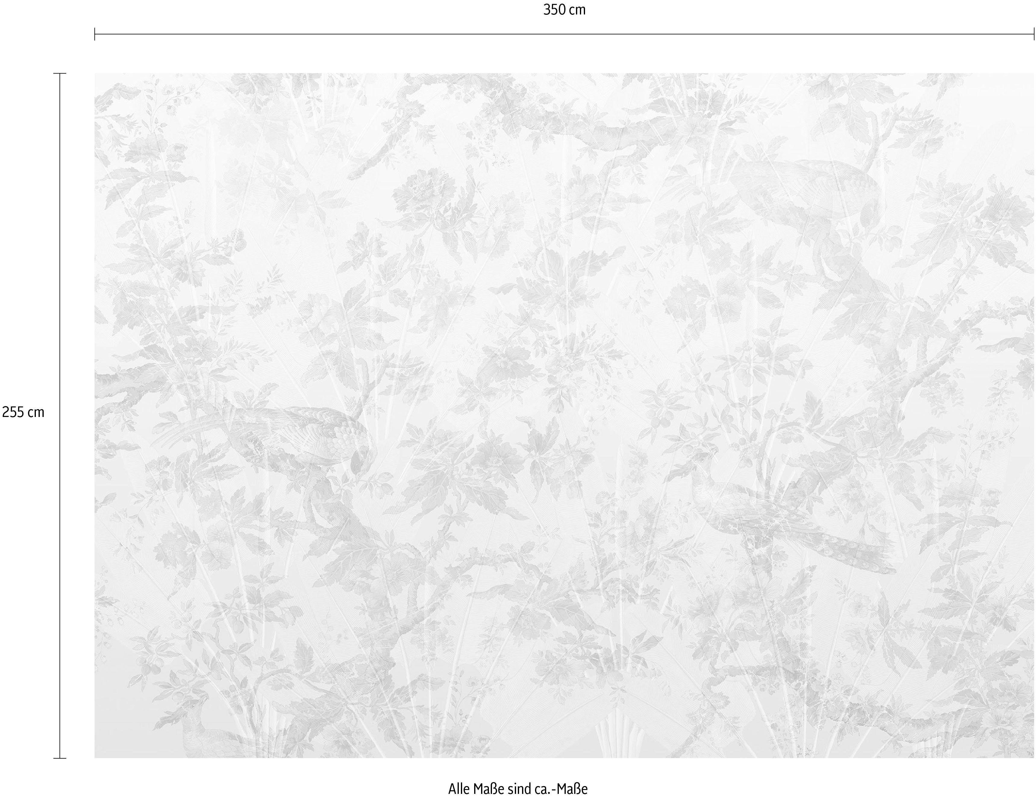 Komar Vliesbehang Digitale print vlies - Oiseau de Paradis - Afmeting 350 x 255 cm