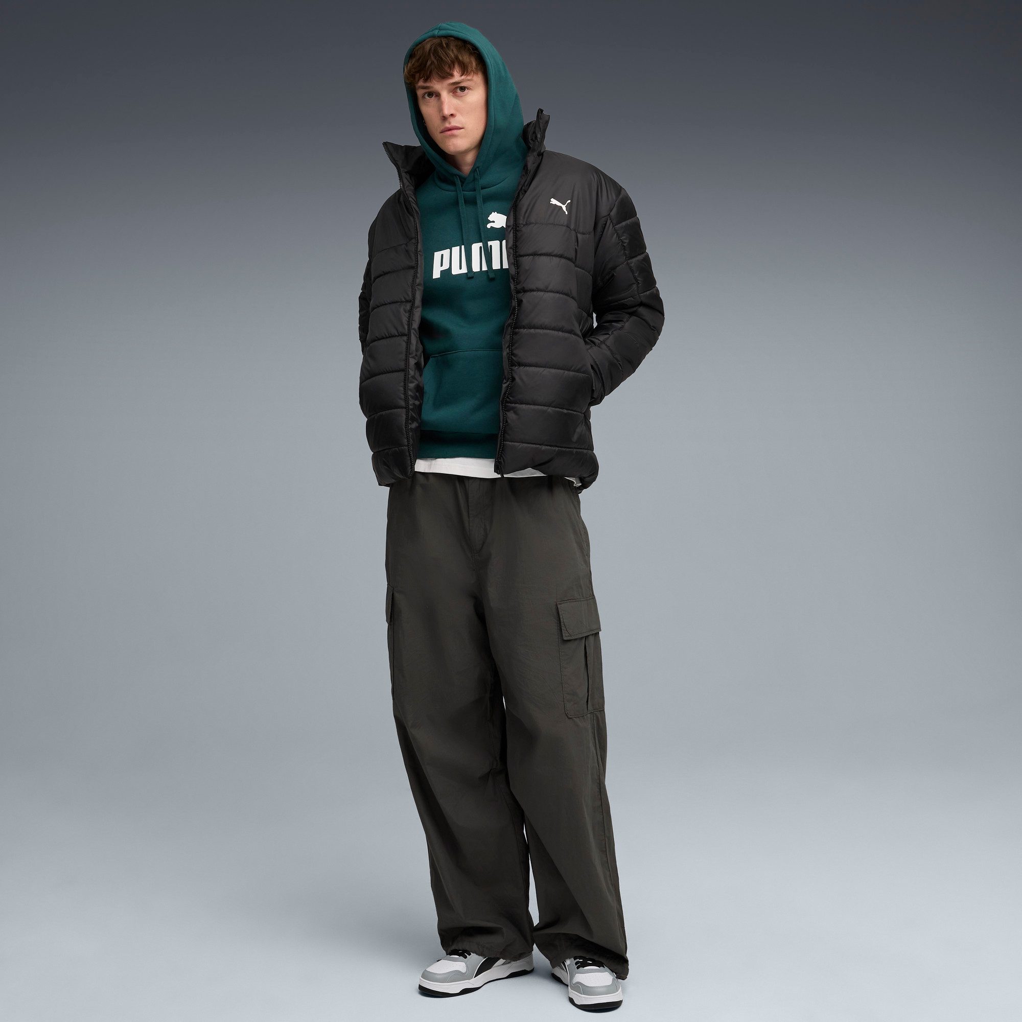 PUMA Hoodie ESS NO. 1 LOGO HOODIE FL (S)