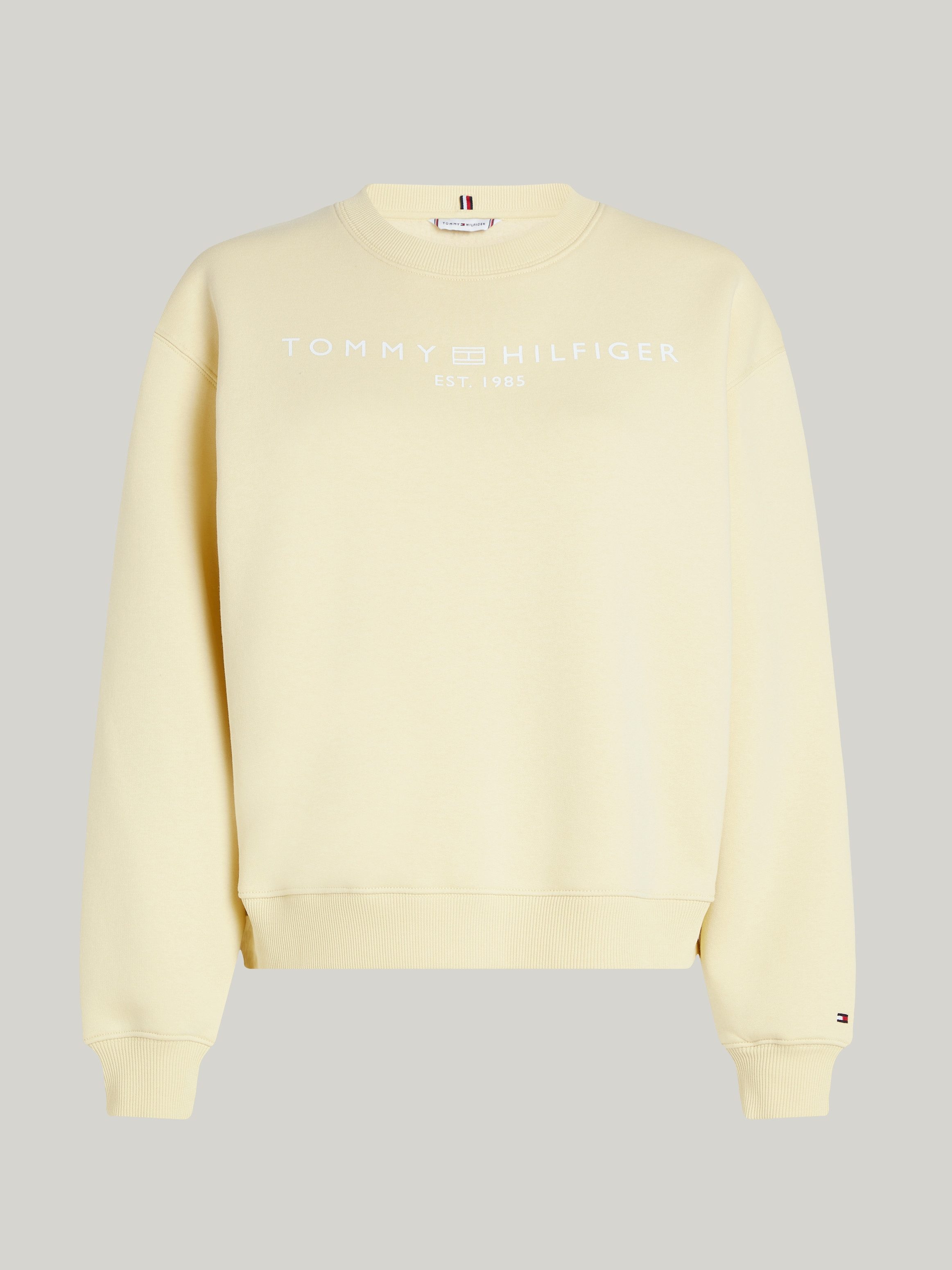 Tommy Hilfiger Curve Sweatshirt CRV MDRN REG CORP LOGO SWTSHRT