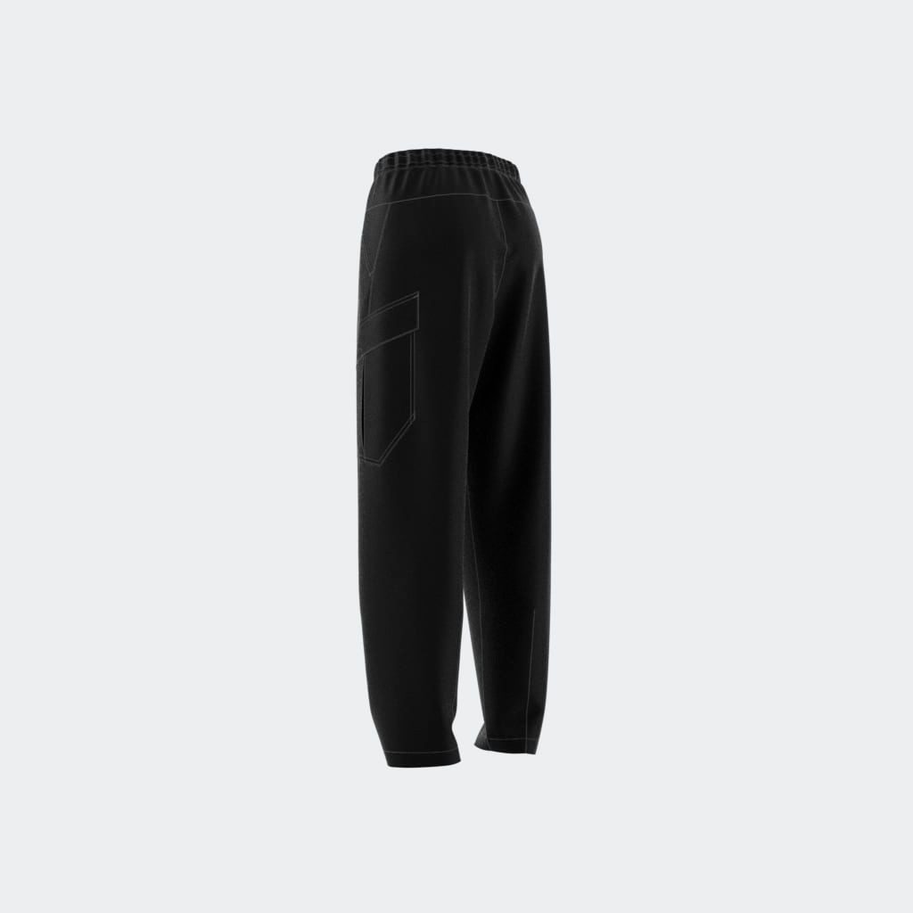 adidas TERREX Outdoorbroek W CARGO PANTS (1-delig)