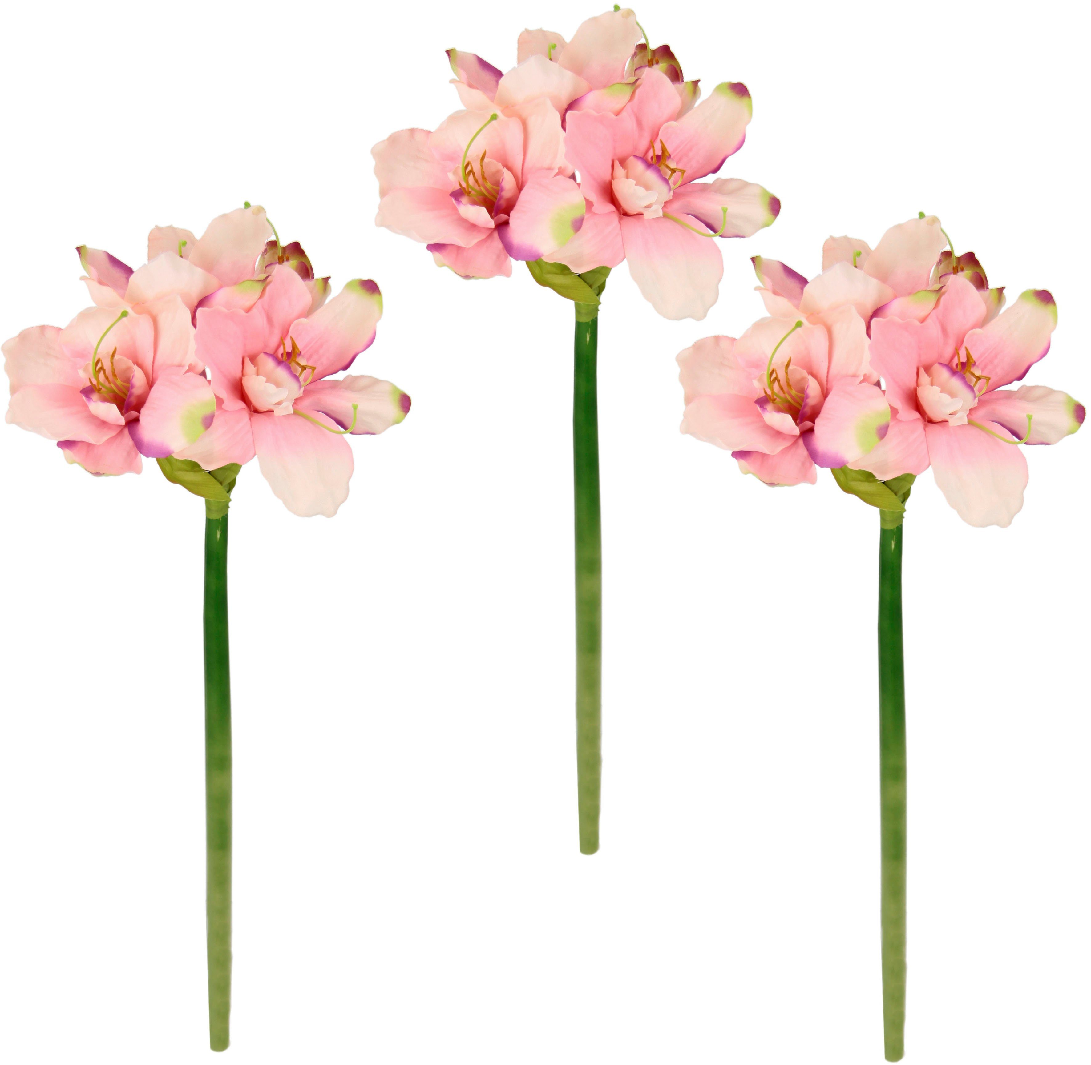 I.GE.A. Kunstbloem Amaryllis Kunst-stielbloem, 3-delige set (3 stuks)