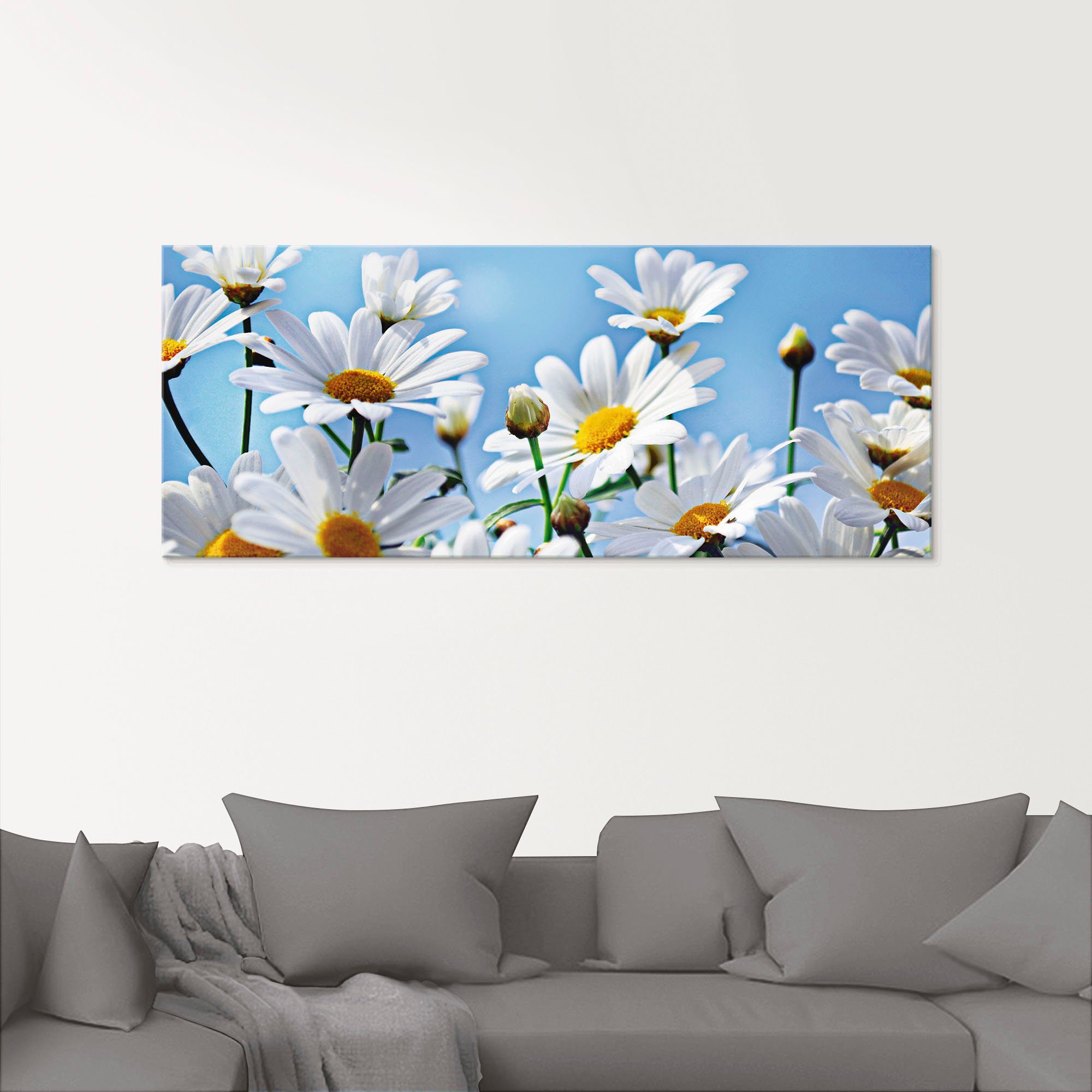 Artland Print op glas Bloemen - margrieten in verschillende maten