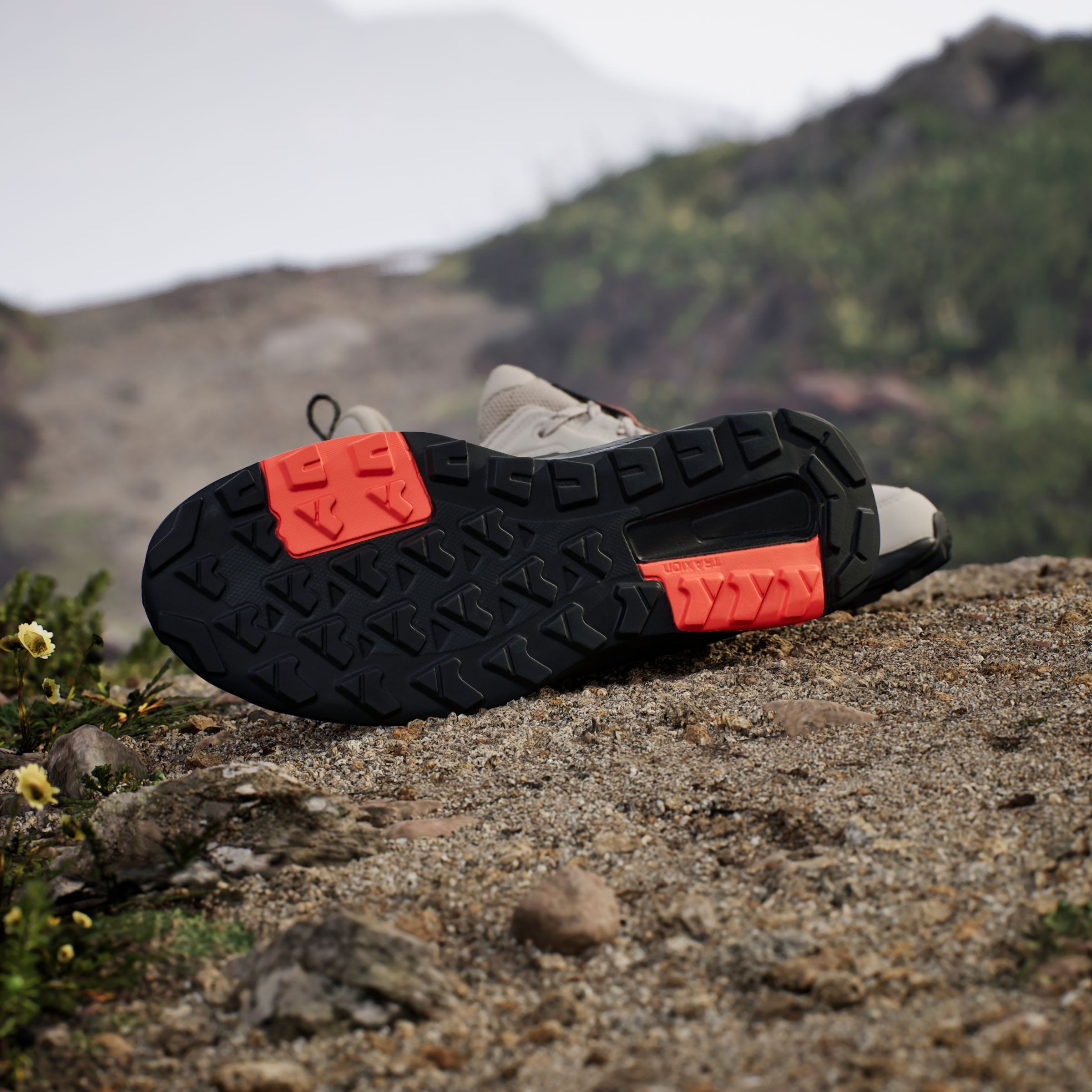 adidas TERREX Wandelschoenen TERREX ANYLANDER