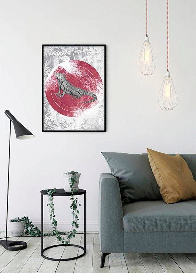 Komar Wanddecoratie Iguana Circle Wanddecoratie - zonder lijst (1 stuk)