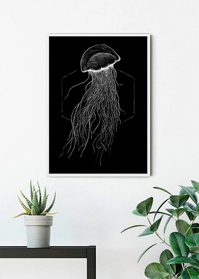 Komar Wanddecoratie Jellyfish black Wanddecoratie - zonder lijst (1 stuk)