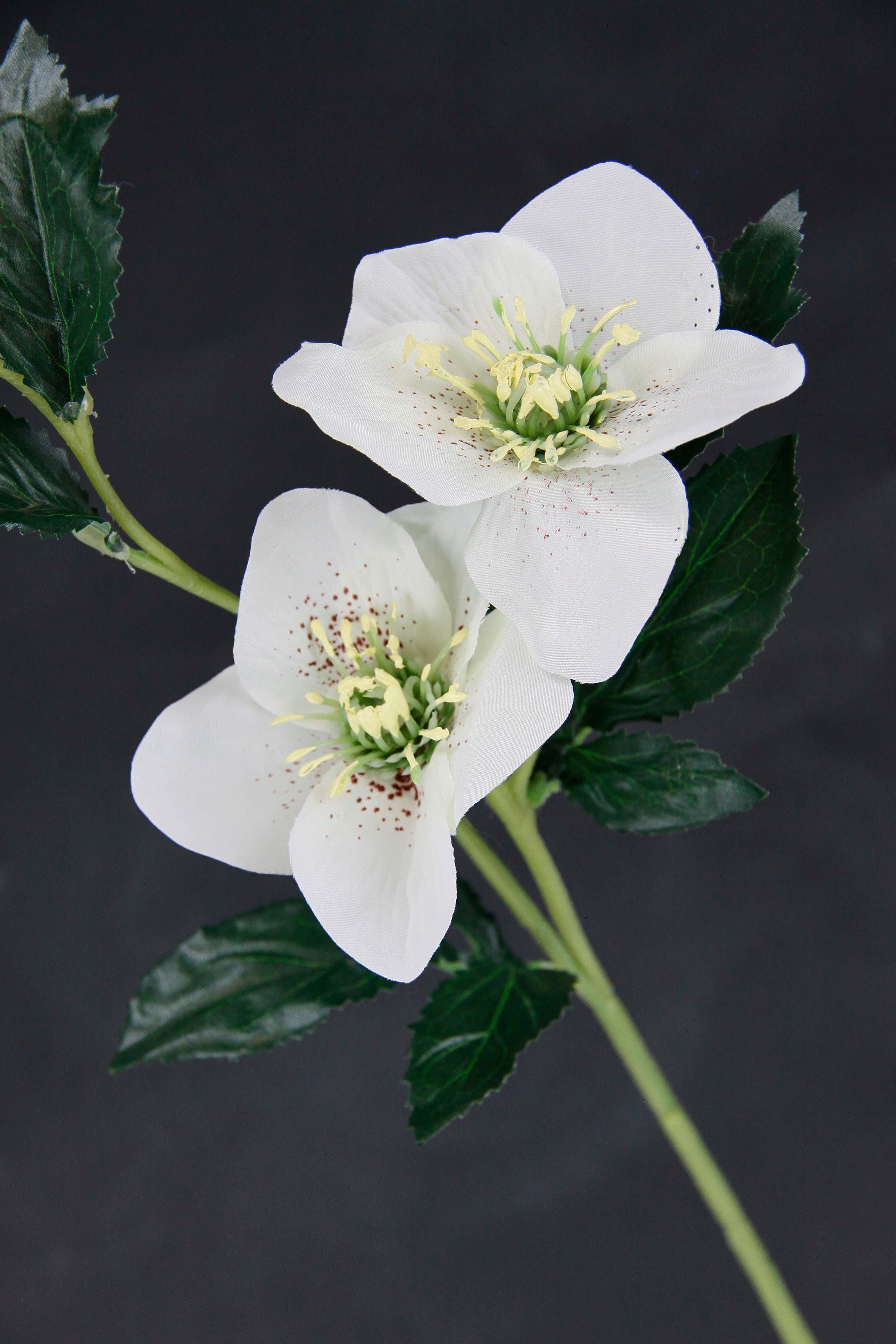 I.GE.A. Kunstbloem Kerstroos Kunstmatige zijden bloemen, 5-delige set (5 stuks)