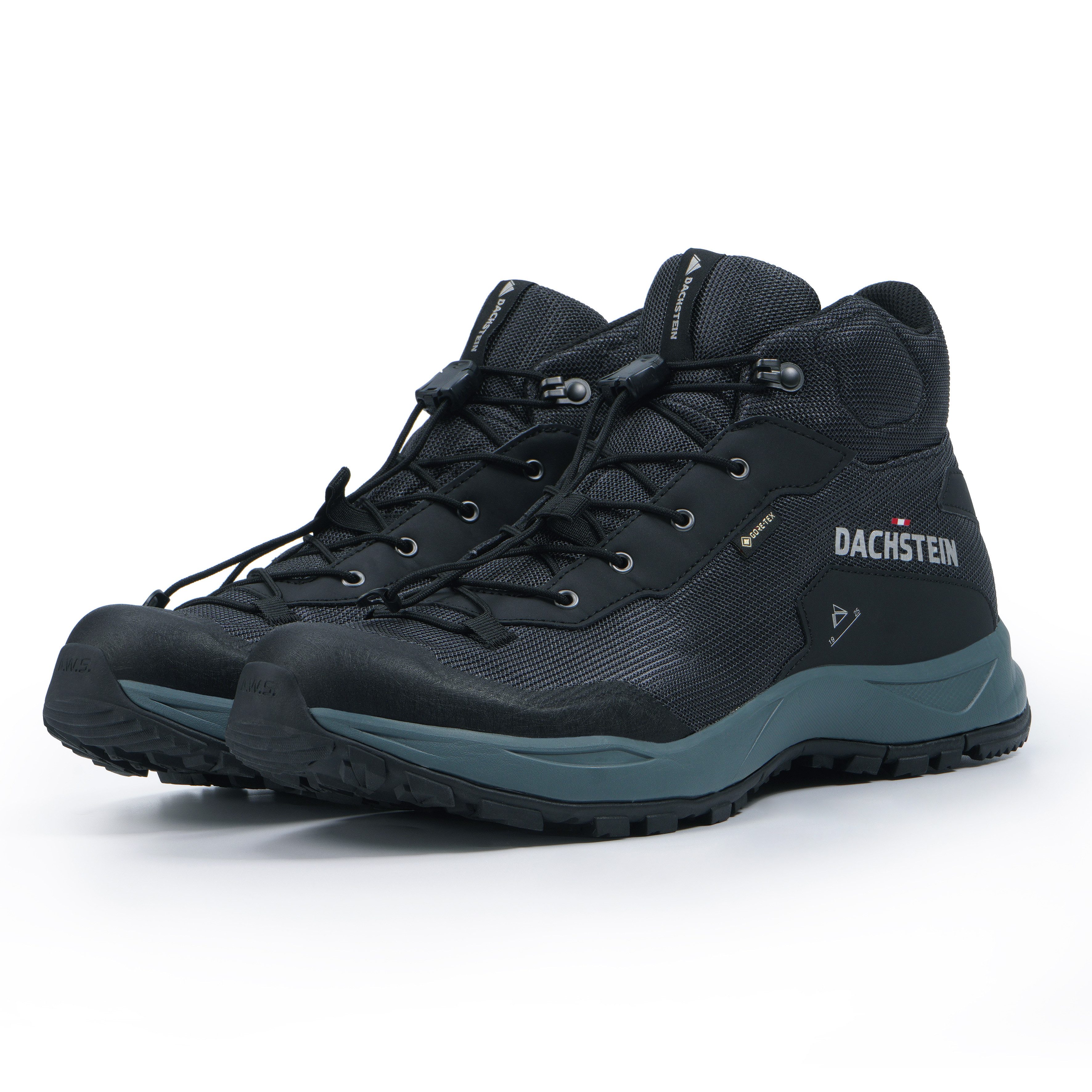 Dachstein Wandelschoenen DELTA ASCENT MC GTX