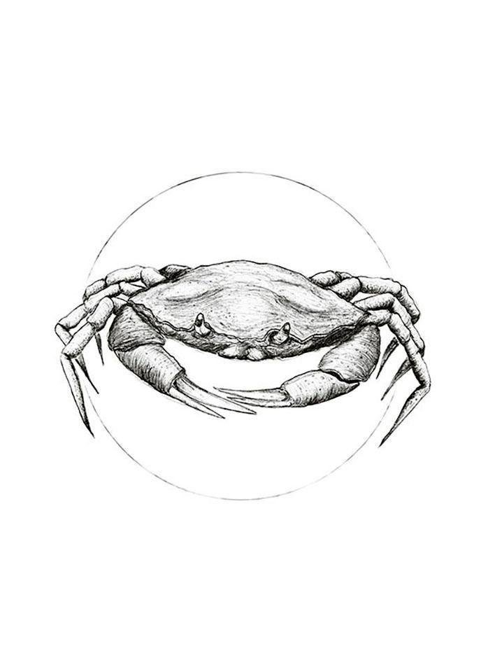 Komar Wanddecoratie Crab white Wanddecoratie - zonder lijst (1 stuk)