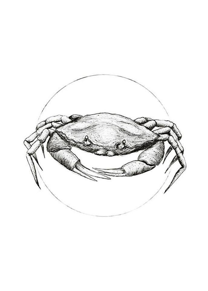 Komar Poster Crab white Hoogte: 50 cm
