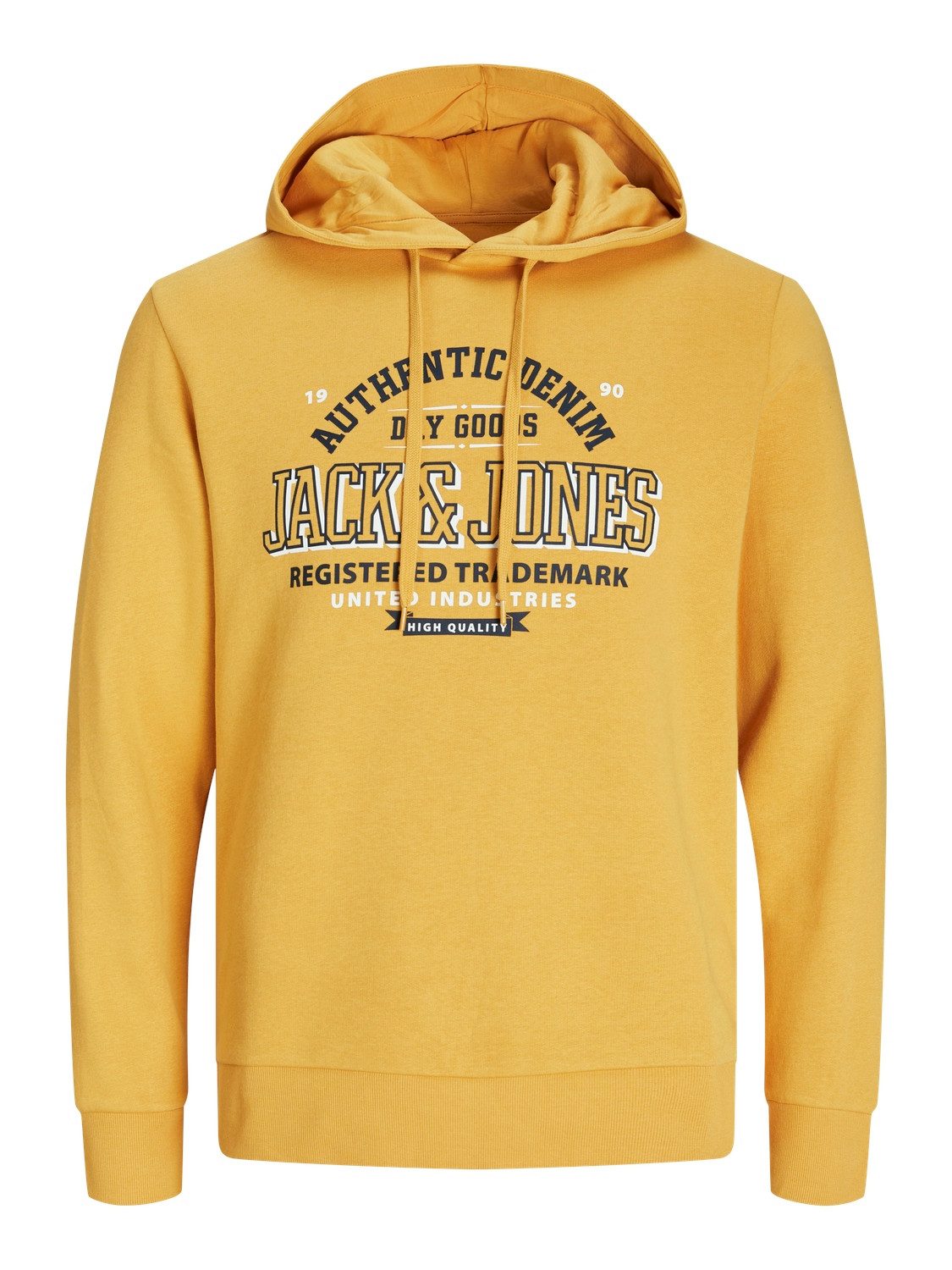 Jack & Jones Hoodie JJELOGO SWEAT HOOD 2 COL 24 25 NOOS