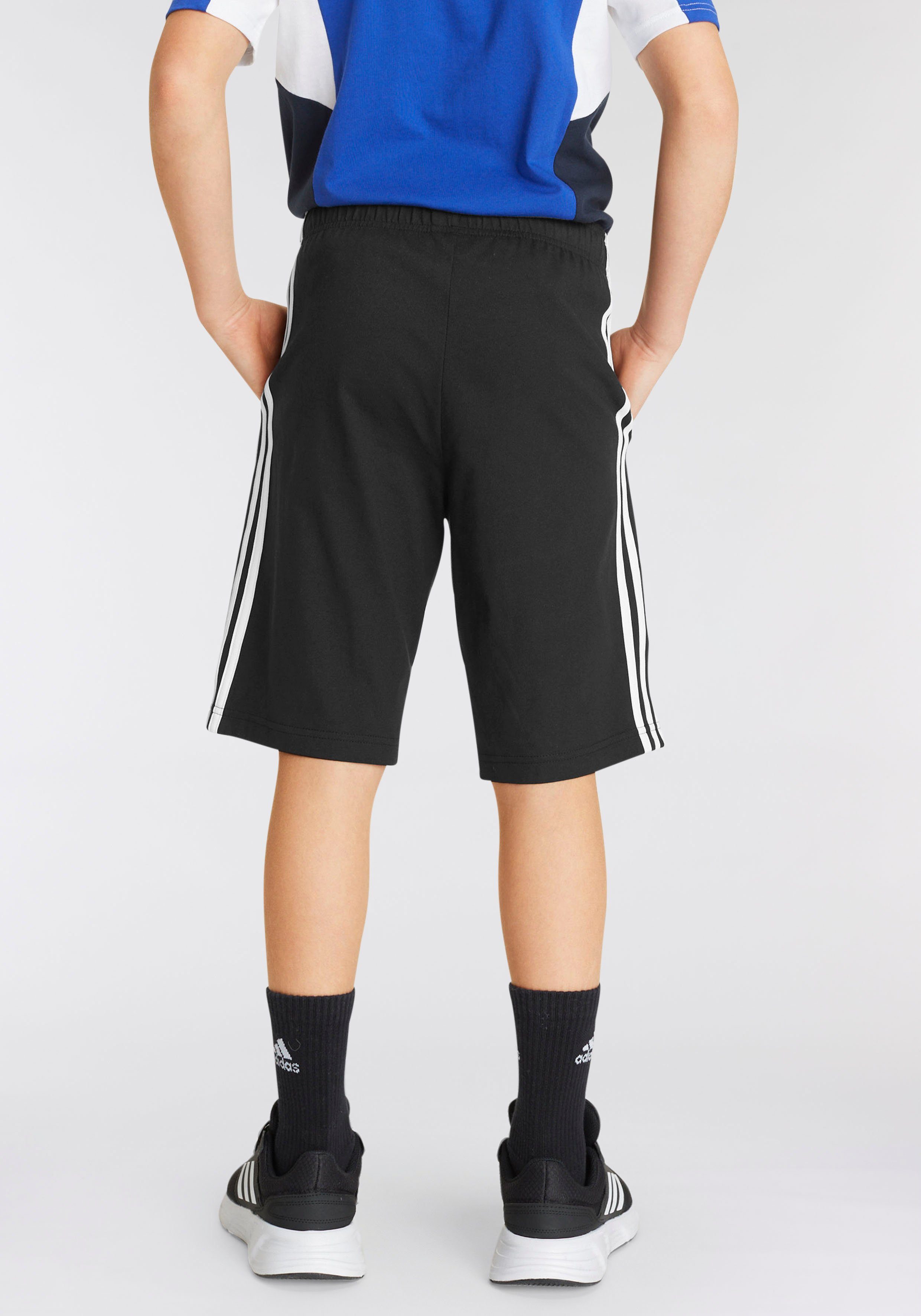 adidas Sportswear Short ESSENTIALS 3-STRIPES KNIT (1-delig)