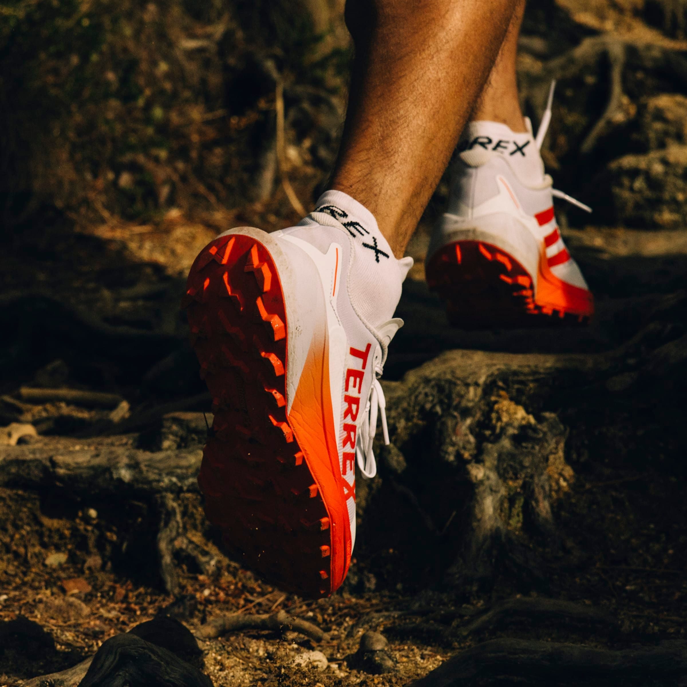 adidas TERREX Trailrunningschoenen TERREX AGRAVIC 3 TRAILRUNNING