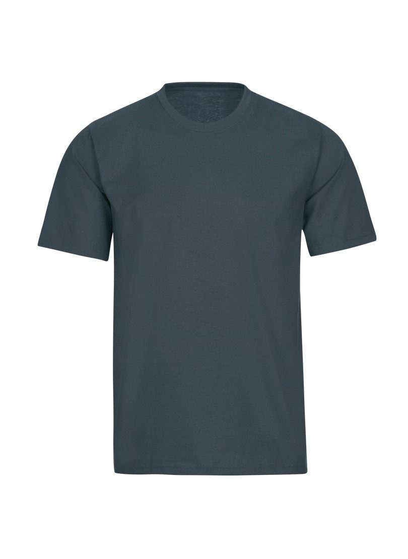 Trigema T-shirt Trigema T-shirt DELUXE katoen (1-delig) heren t-shirts maat L grijs