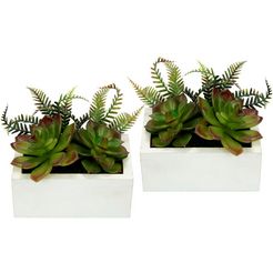 i.ge.a. kunstcactus vetplanten in een houten pot, set van 2 groen