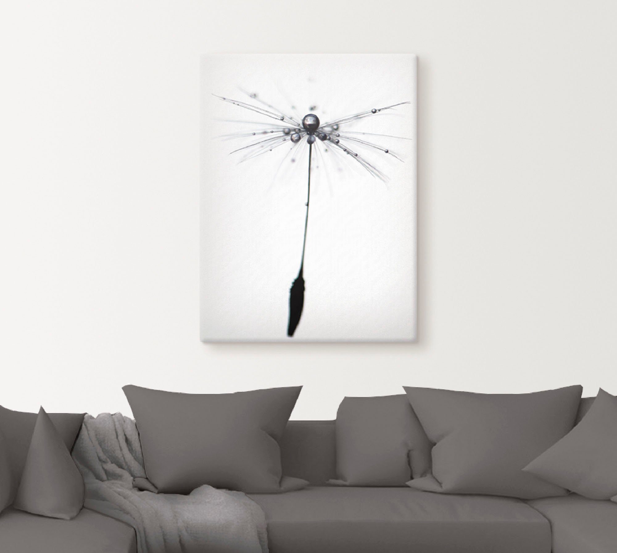 Artland Artprint op linnen Pluizenbol Alone gespannen op een spieraam
