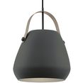 eglo hanglamp bednall hanglamp, hanglamp, dimbaar, smart home, kleurwisseling grijs