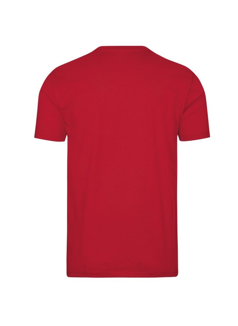 Trigema T-shirt TRIGEMA shirt met V-hals DELUXE (1-delig)
