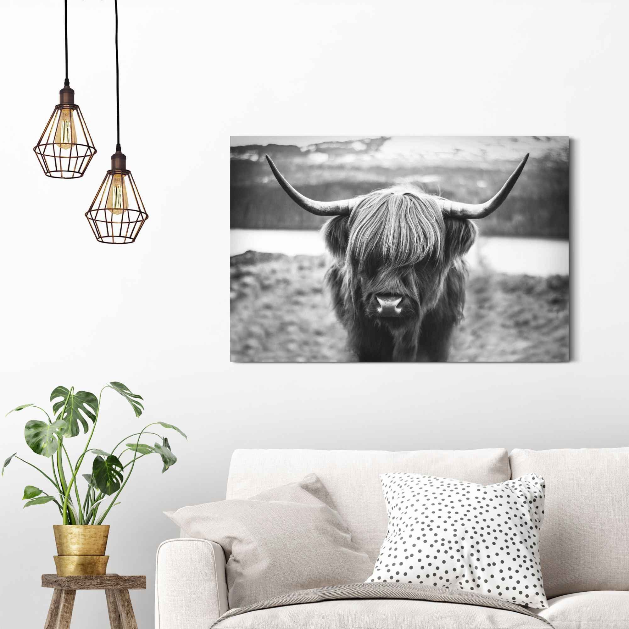 Reinders! Artprint Schotse hooglander stier - hoorns - hoogvlakte