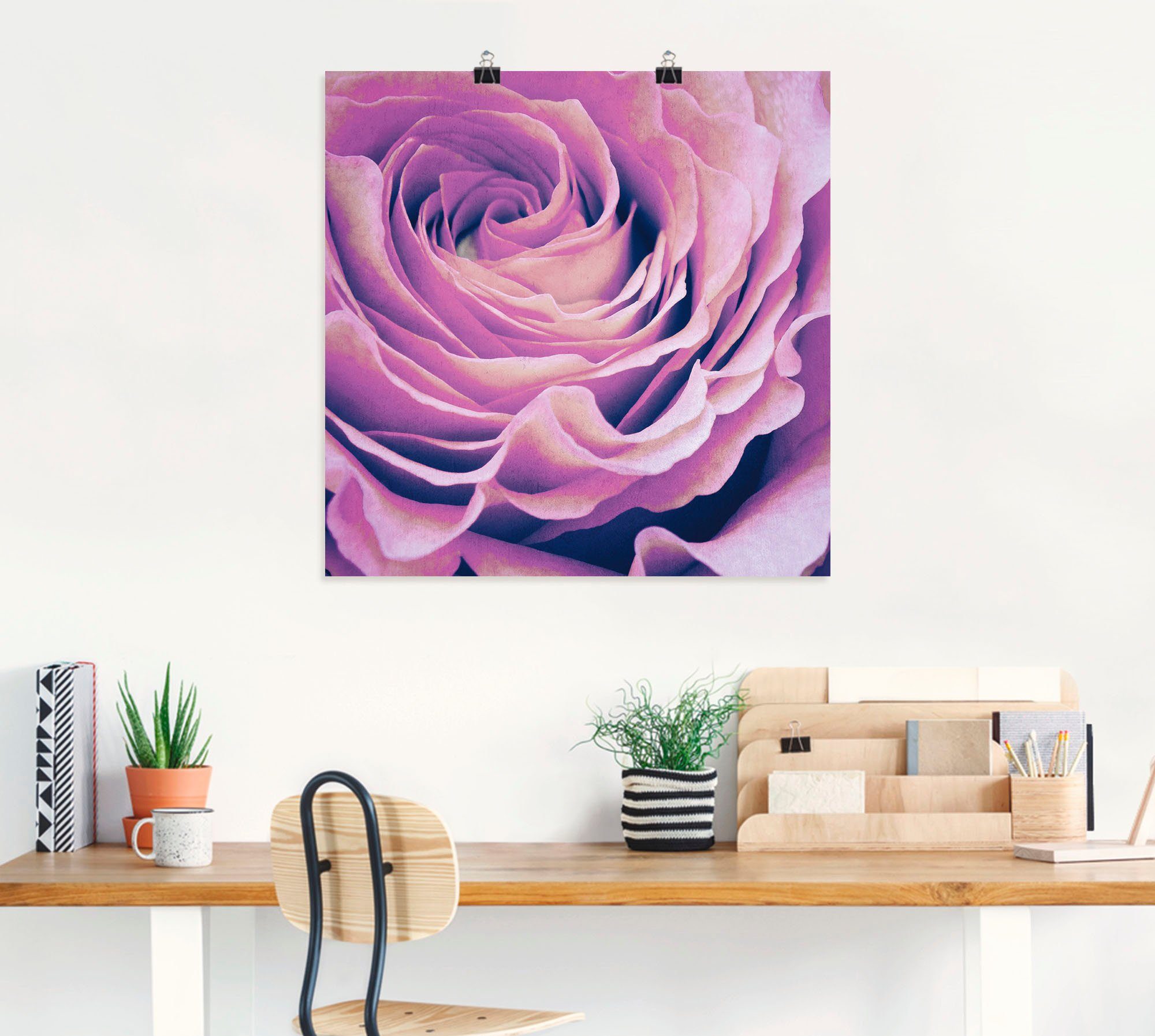 Artland Artprint Paars Roos als artprint op linnen, poster in verschillende formaten maten