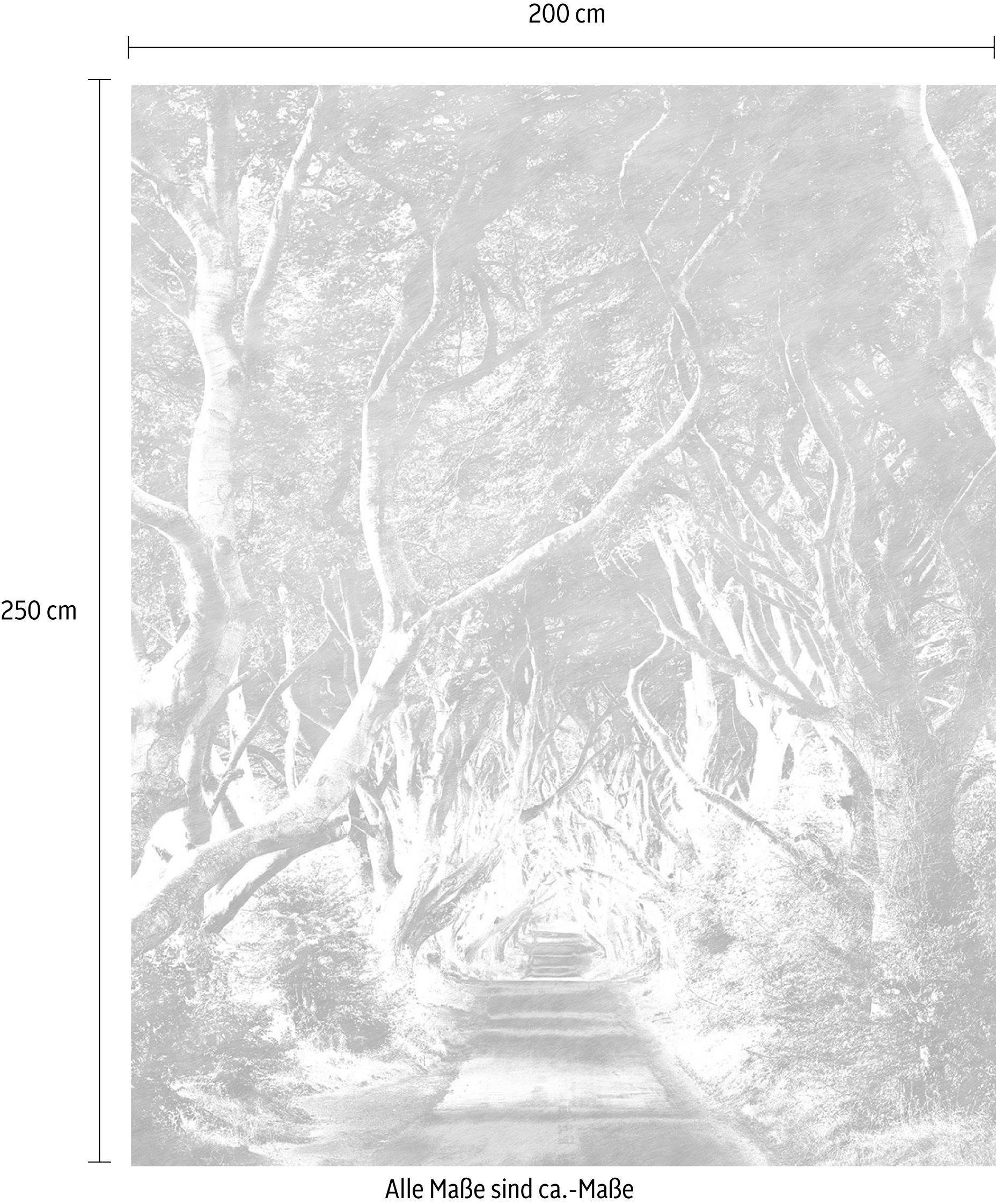Komar Vliesbehang Digitale print vlies - Alley Graphite - Afmeting 200 x 250 cm (1 stuk)