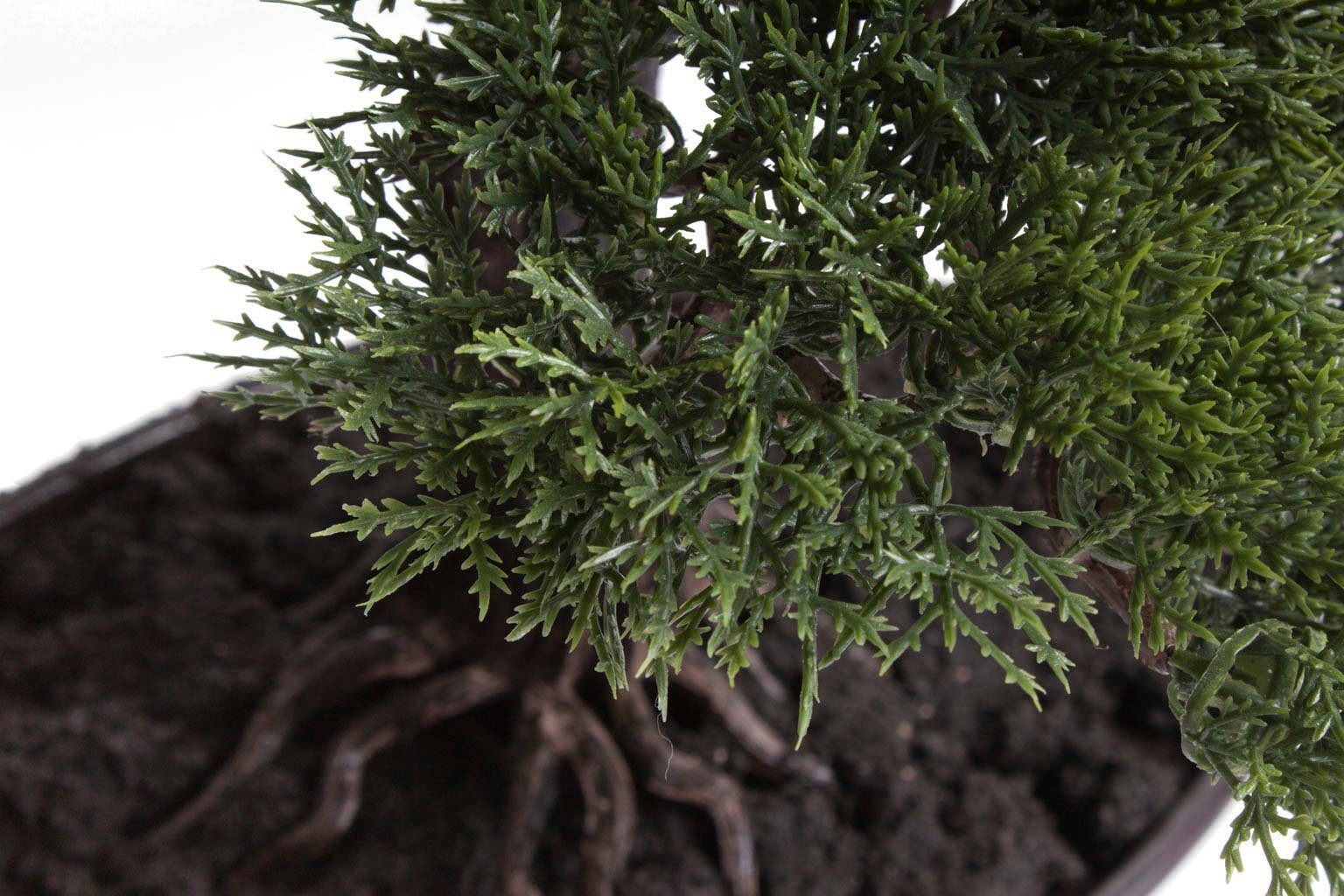 Botanic-Haus Kunstbonsai Cedern Bonsai (1 stuk)