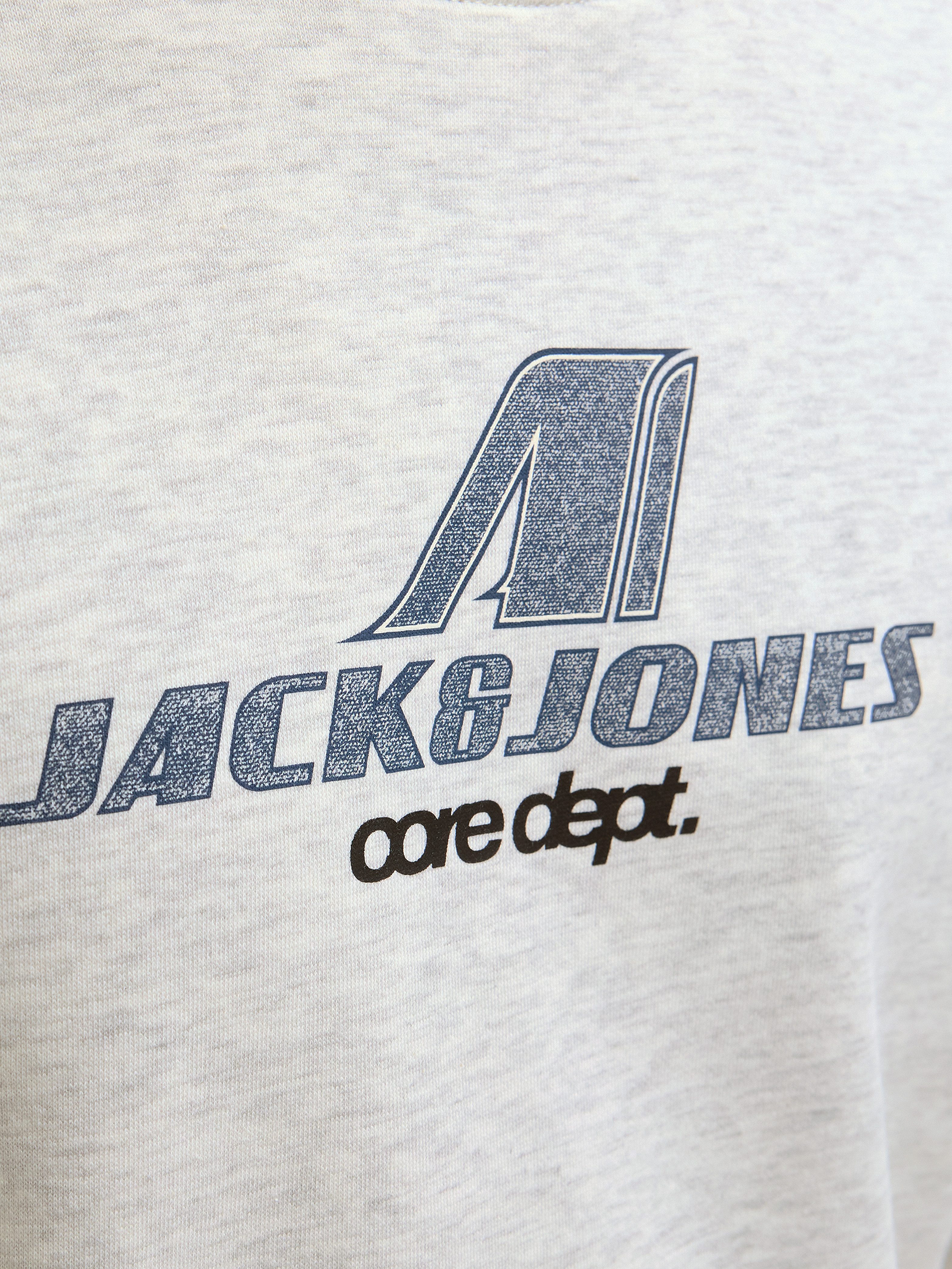 Jack & Jones Sweatshirt JCOTIER PRINT SWEAT CREW NECK