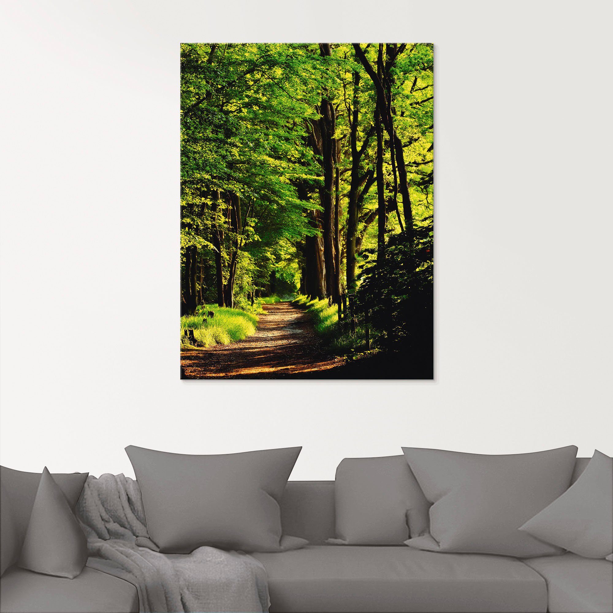Artland Print op glas Weg in het bos in verschillende maten