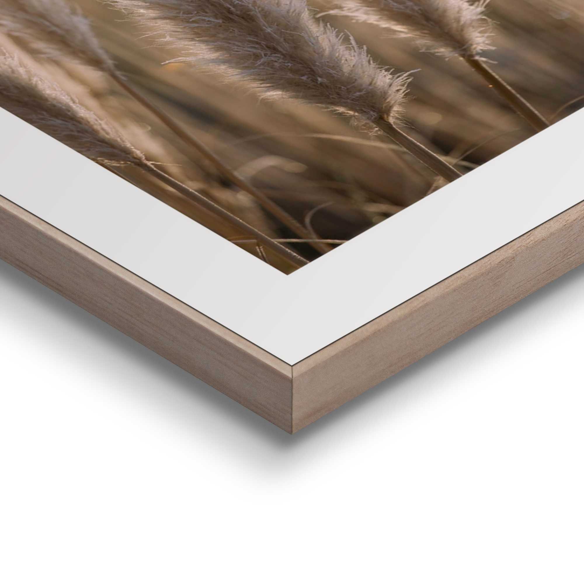 Reinders! Artprint PAMPAS