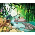 komar fotobehang jungle book swimming with baloo zeer lichtbestendig (set) multicolor