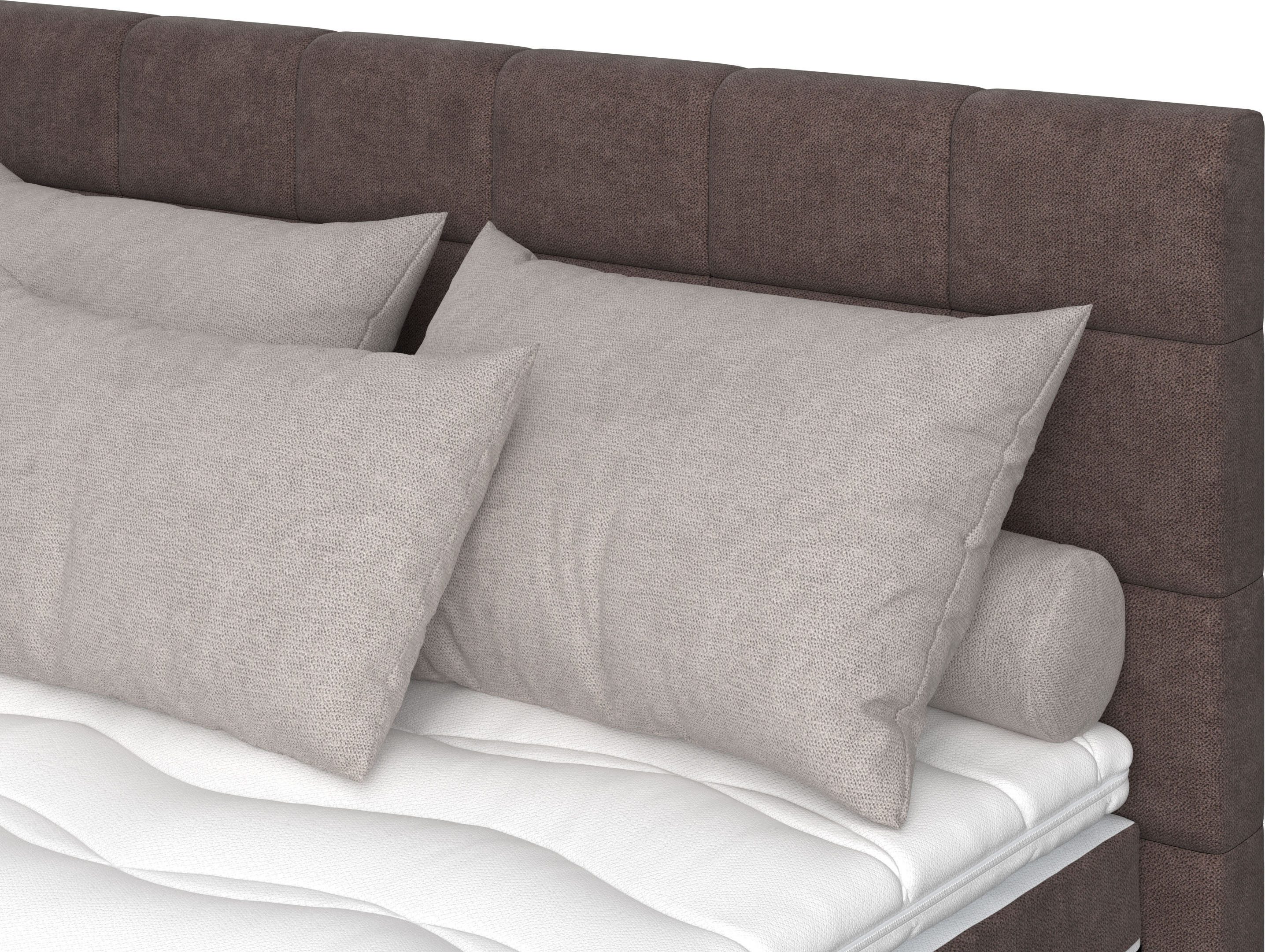 COTTA Boxspring Simba