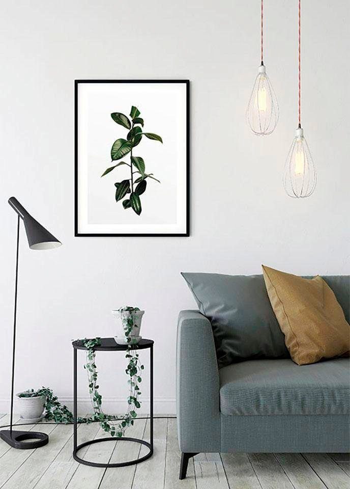 Komar Wanddecoratie Ficus Branch Wanddecoratie - zonder lijst