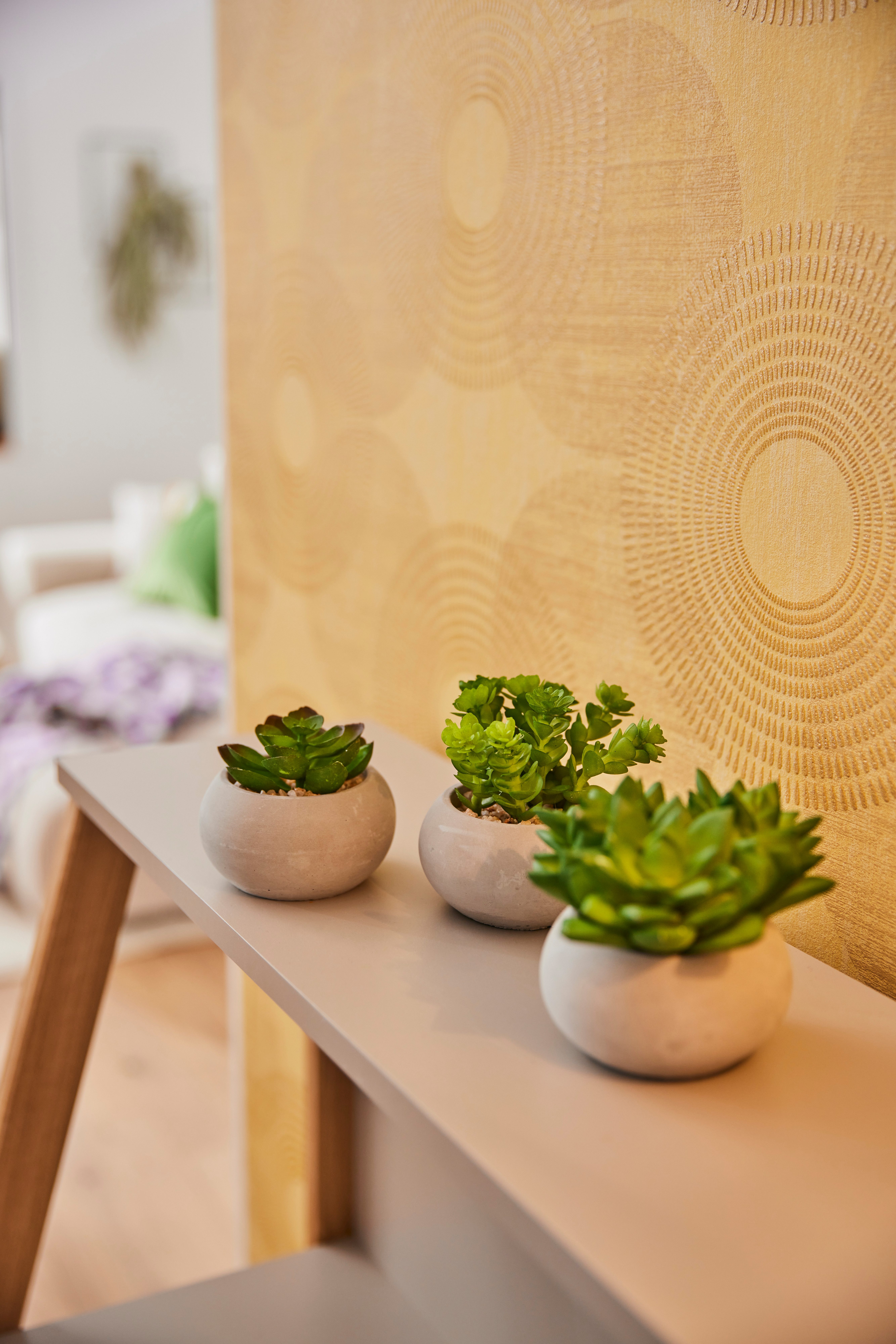 Creativ green Kunstplant Vetplanten (set, 3 stuks)