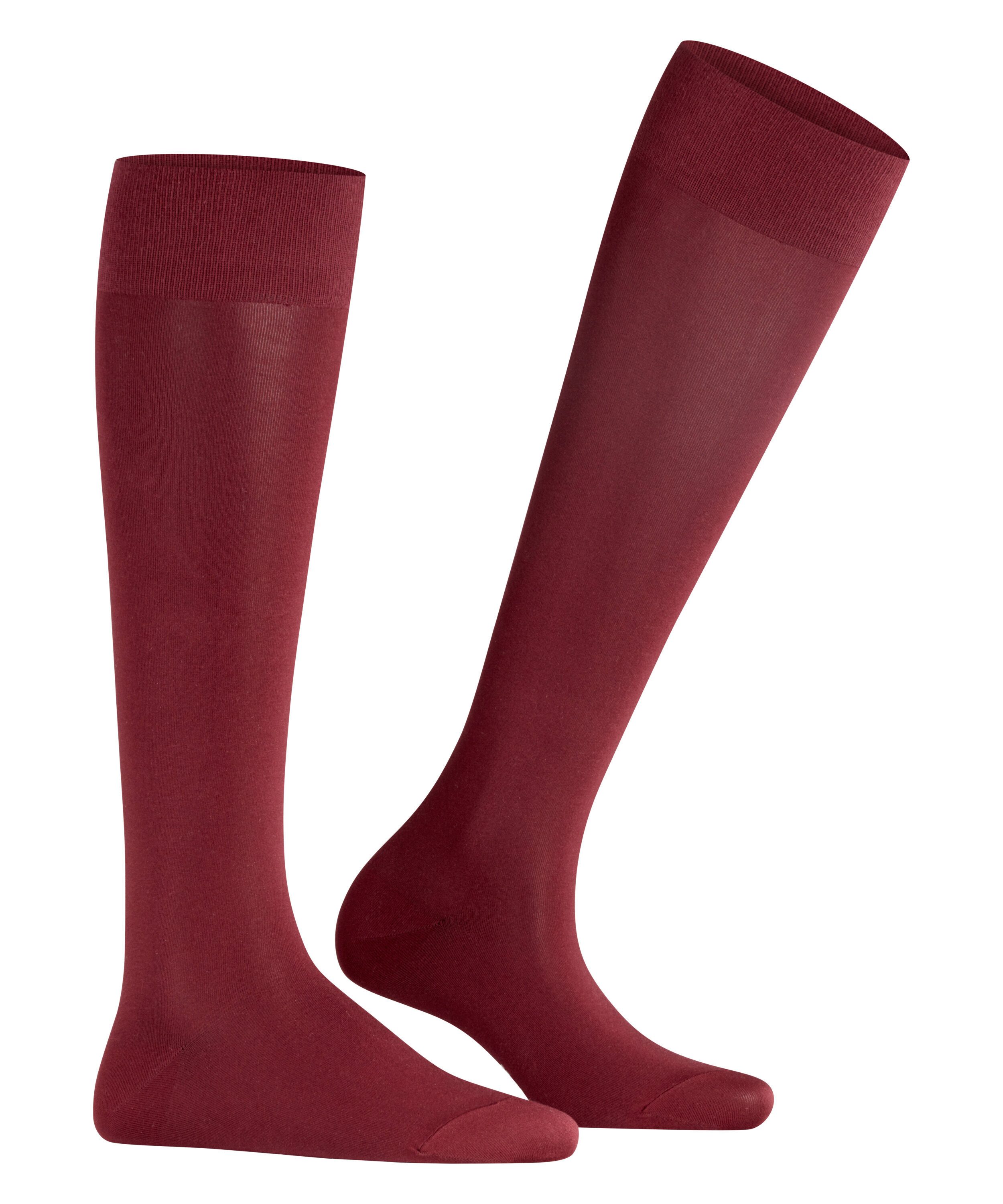 FALKE Kniekousen Cotton touch