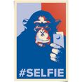 reinders! poster selfie affe (1 stuk) blauw