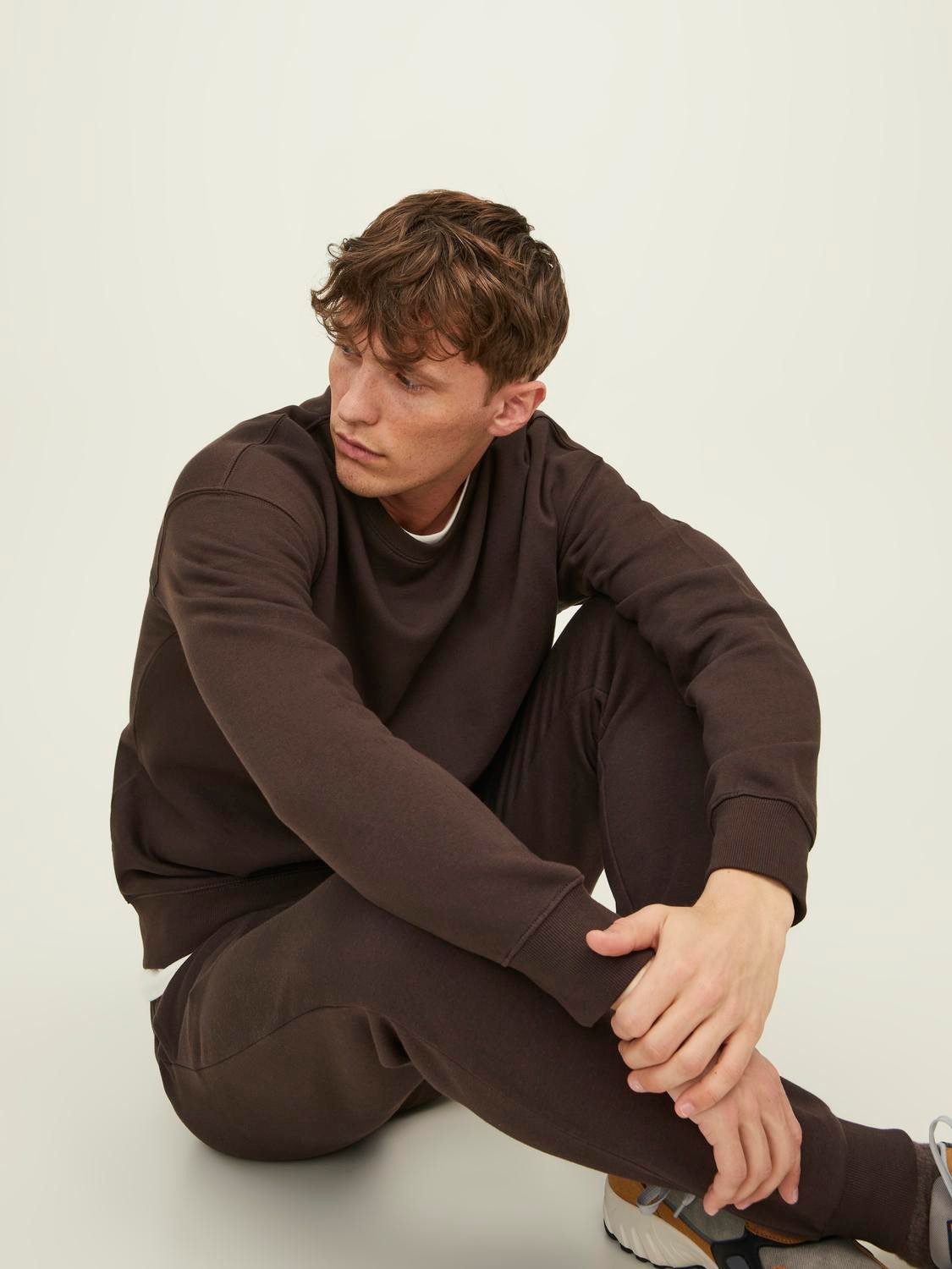 Jack & Jones Sweatshirt JJESTAR BASIC SWEAT CREW NECK NOOS
