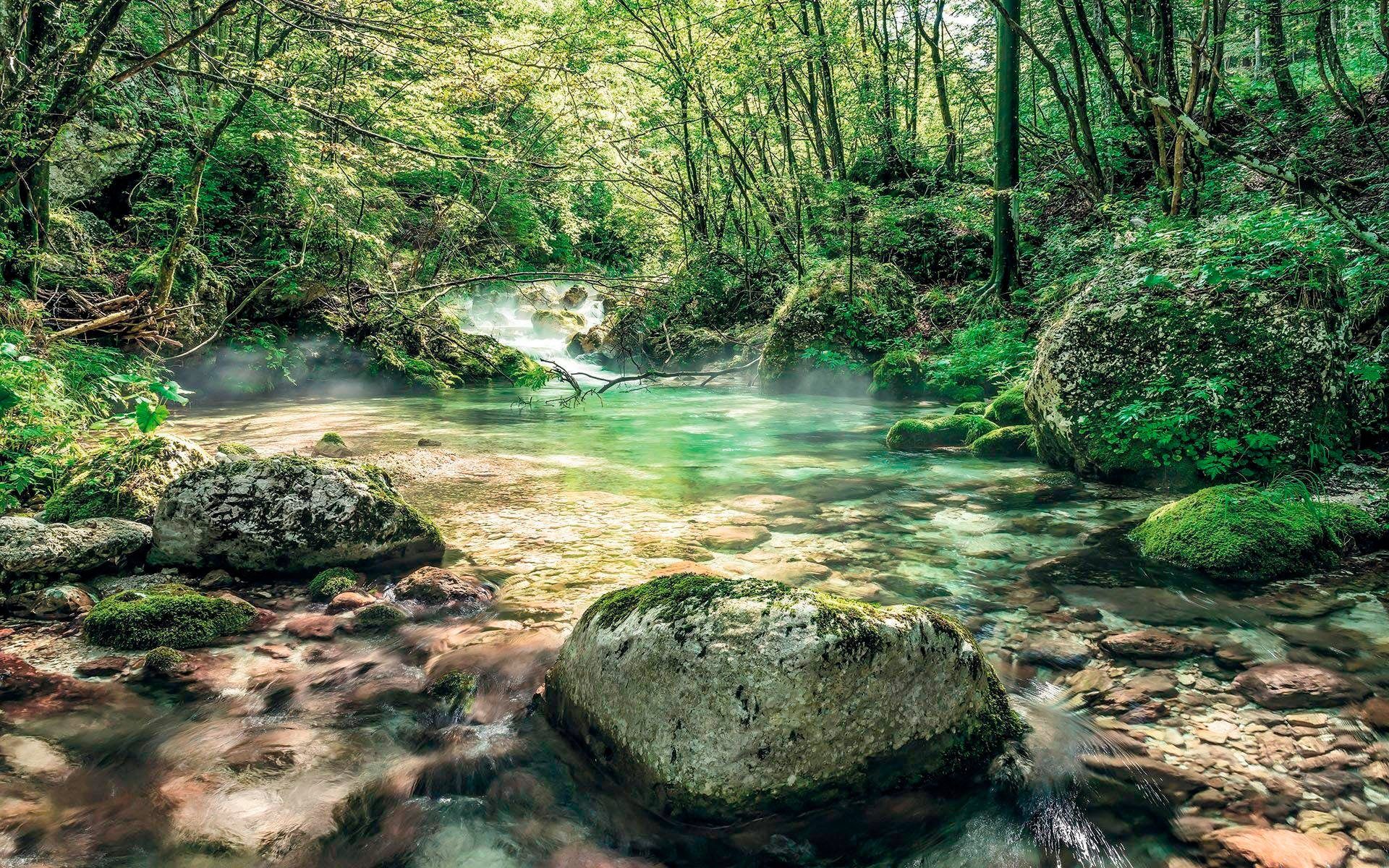 Komar vliesbehang Tranquil Pool