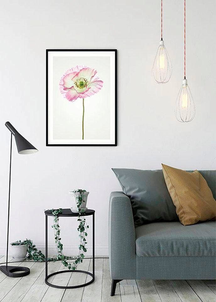 Komar Wanddecoratie Poppy Wanddecoratie - zonder lijst (1 stuk)