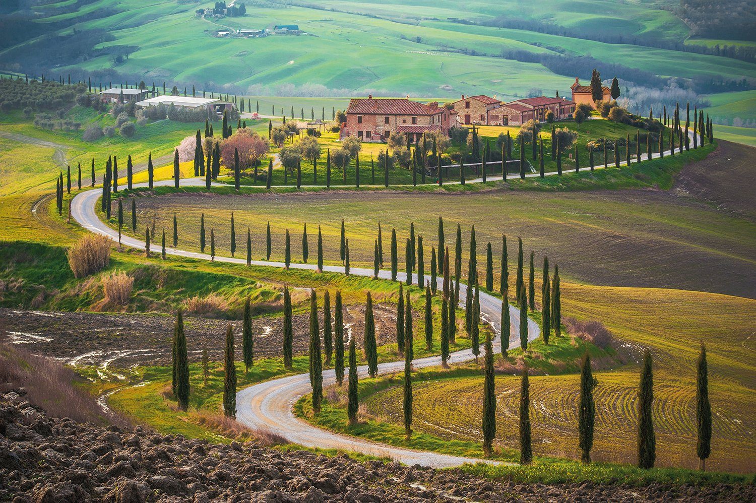 Papermoon Fotobehang Fields in Tuscany