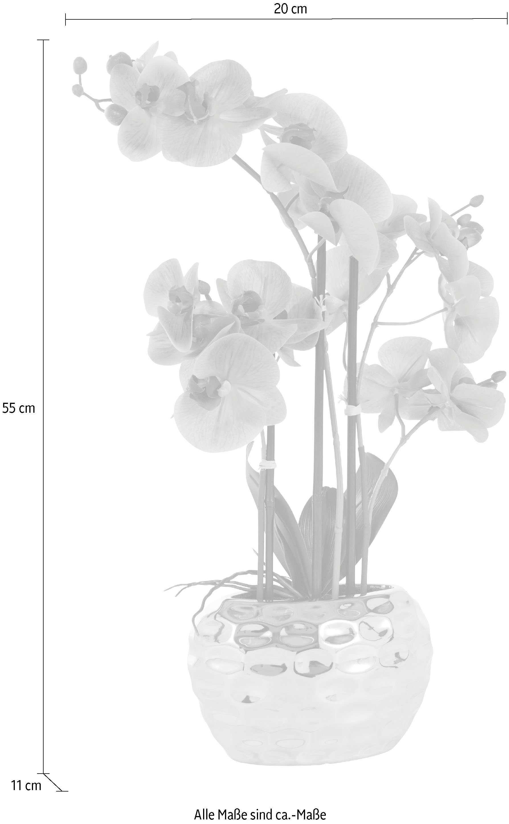 Leonique Kunstplant Orchidee Kunstorchidee, in pot, bestseller, meer dan 2500 4,5-sterren beoordelingen (1 stuk)