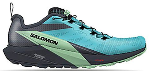 Salomon Trailrunningschoenen SENSE RIDE 5 GORE-TEX® W waterdicht, trailrunningschoenen