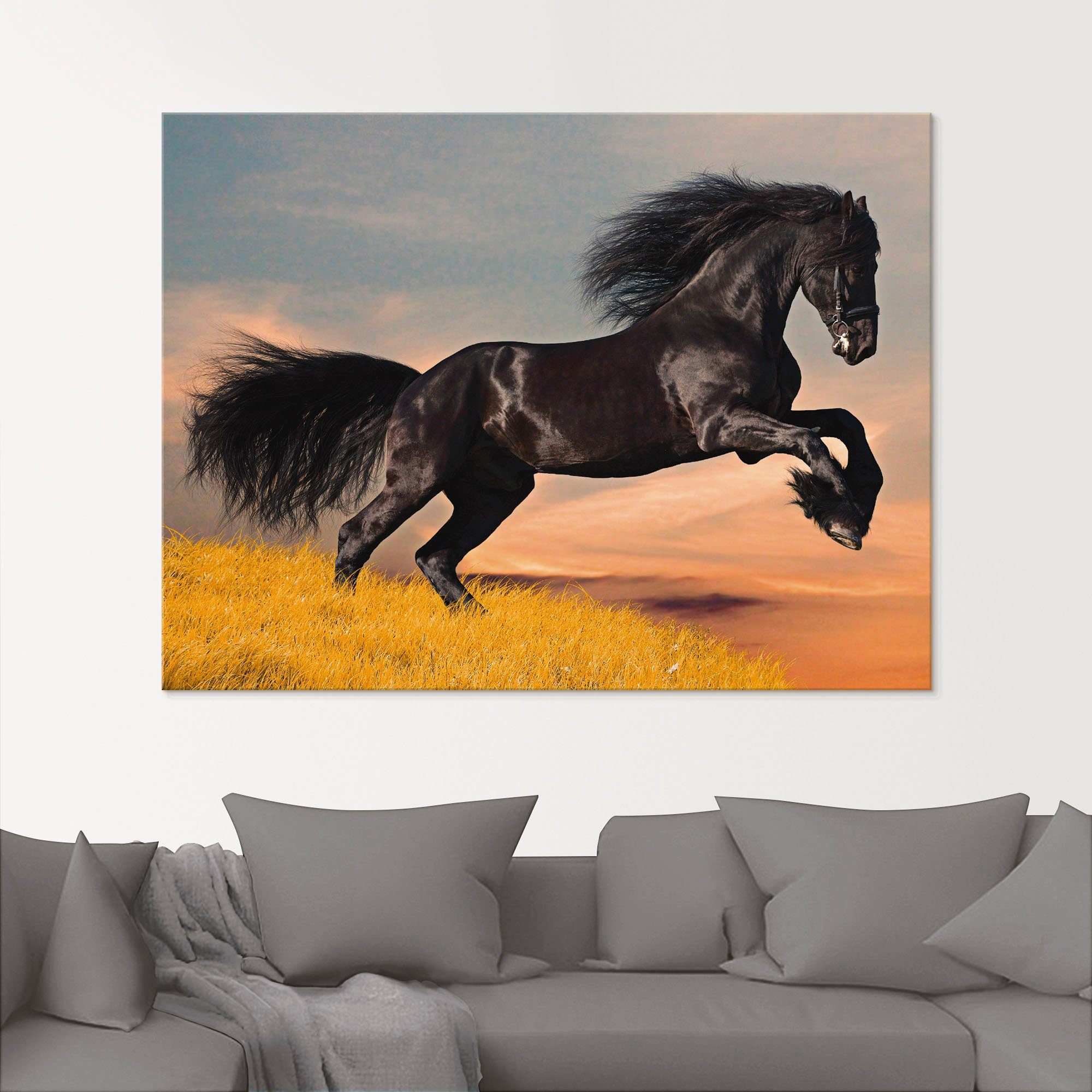 Artland Print op glas Friese hengstgalop in verschillende maten