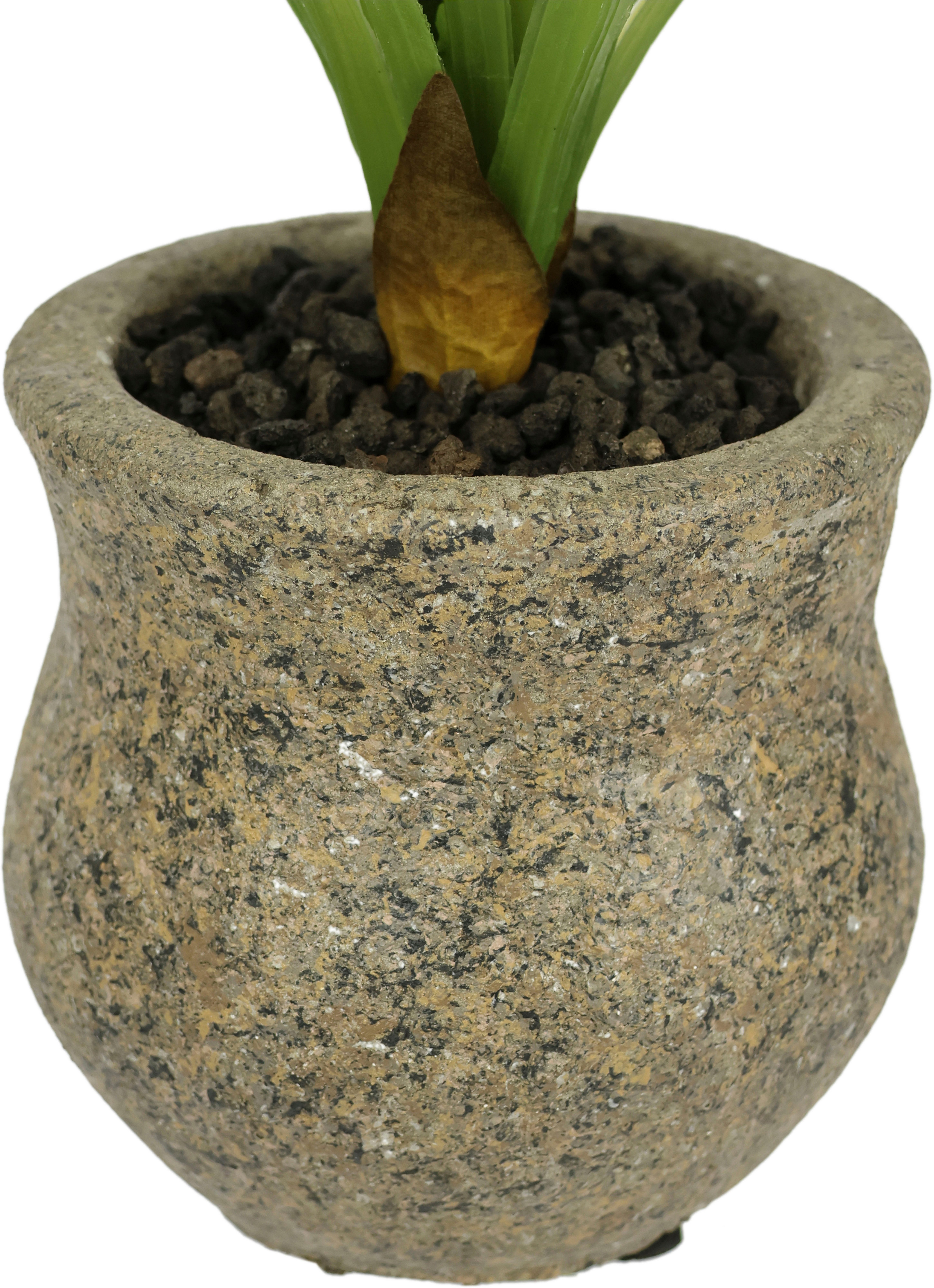 I.GE.A. Kunstbloem vlinderorchidee met keramische pot Met bladeren en luchtwortels, kunstorchidee Phalaenopsis, kunstplant (1 stuk)