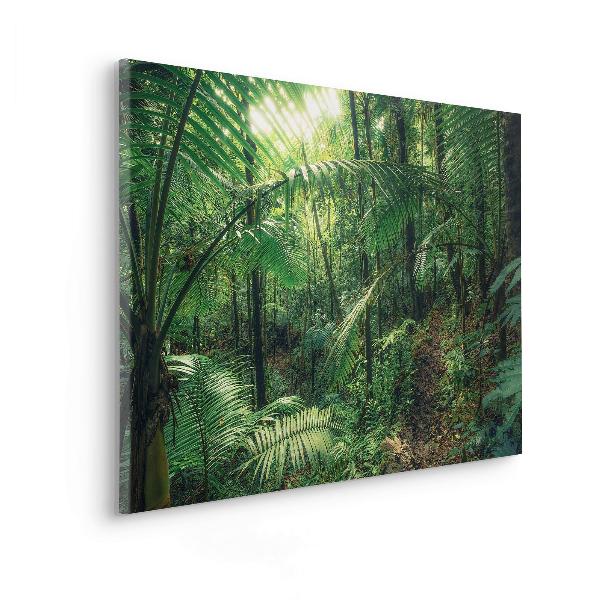 Komar Artprint op linnen Jungleflair - Afmeting 90 x 60 cm (1 stuk)