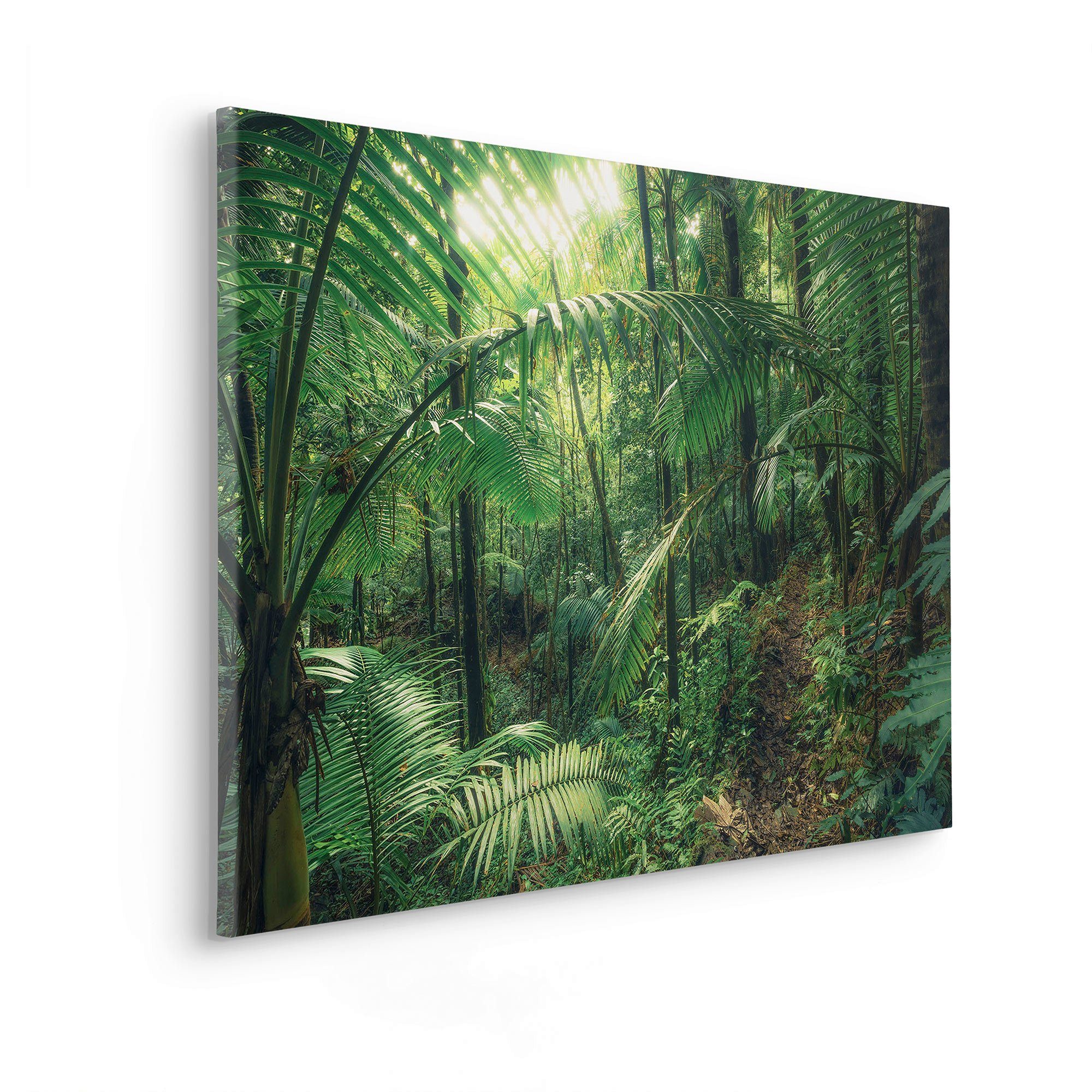 Komar Artprint op linnen Keilrahmenbild - Jungleflair - Größe 90 x 60 cm (set)