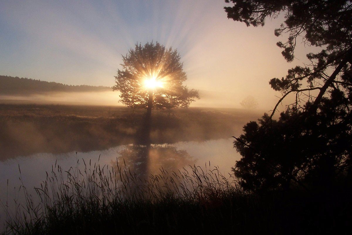 Papermoon Fotobehang Fluss Sonnenaufgang